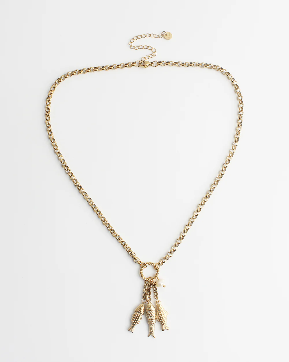 Fish - Ketting - Stainless Steel - Image 3