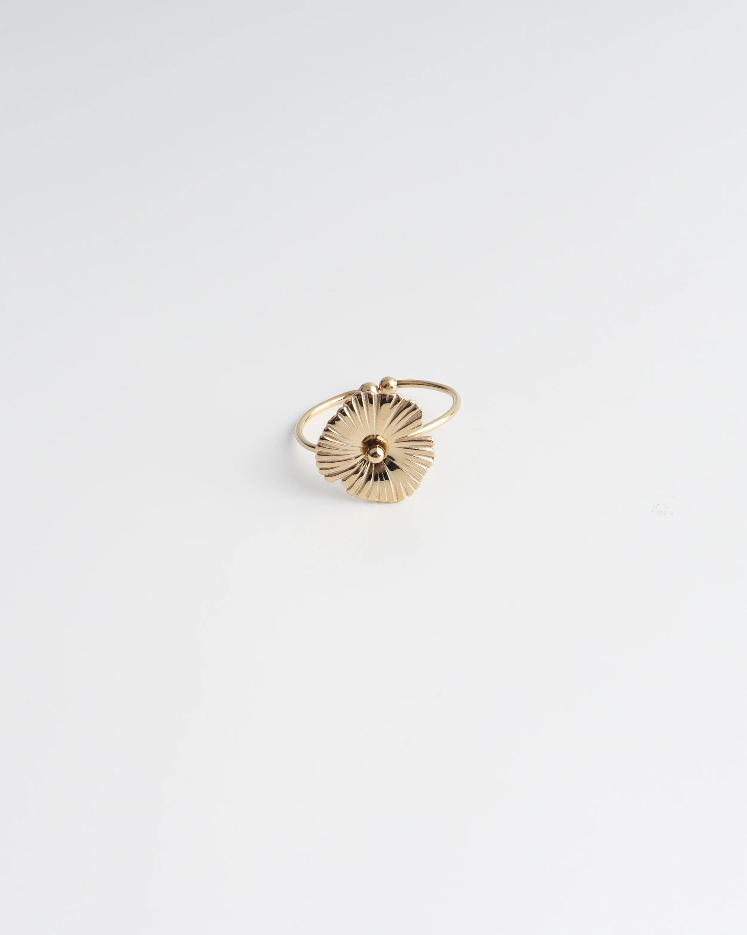 Lenka - Ring - Stainless Steel - Verstelbaar