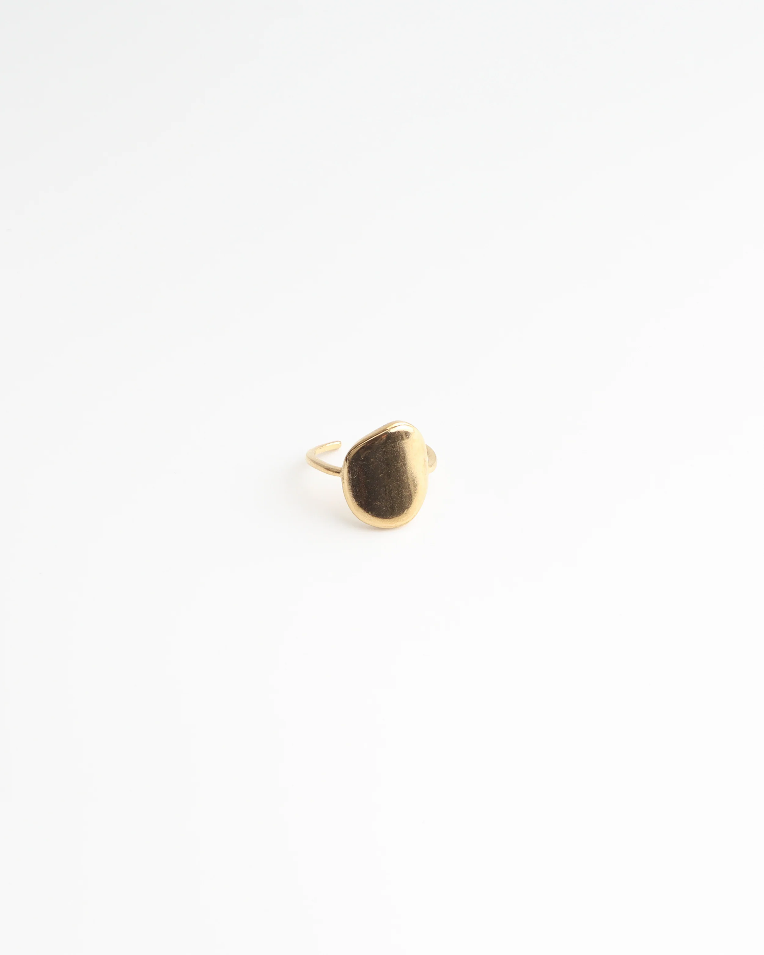 Lianne - Ring - Stainless Steel - Verstelbaar