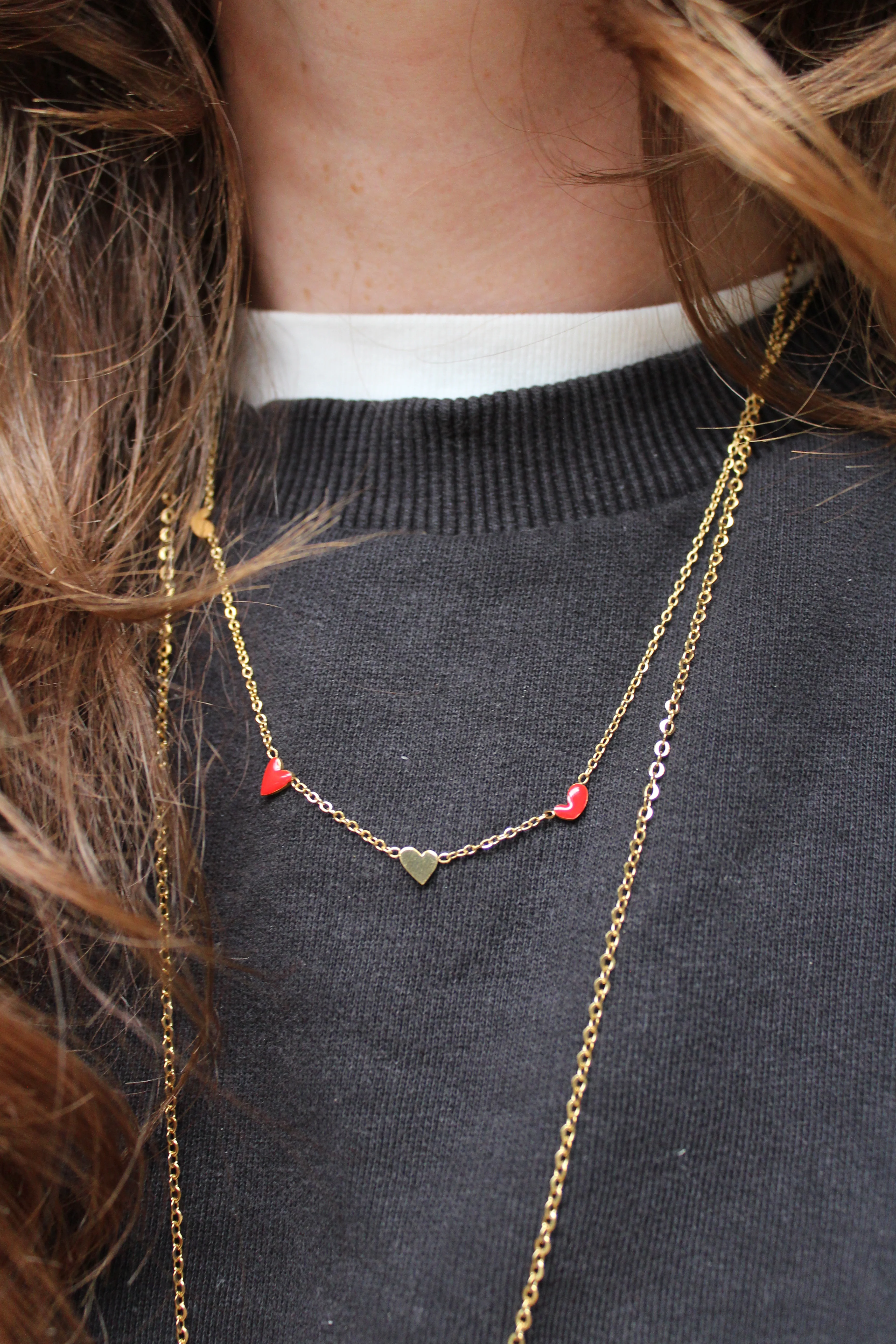Lien - Ketting - Stainless Steel - Image 2