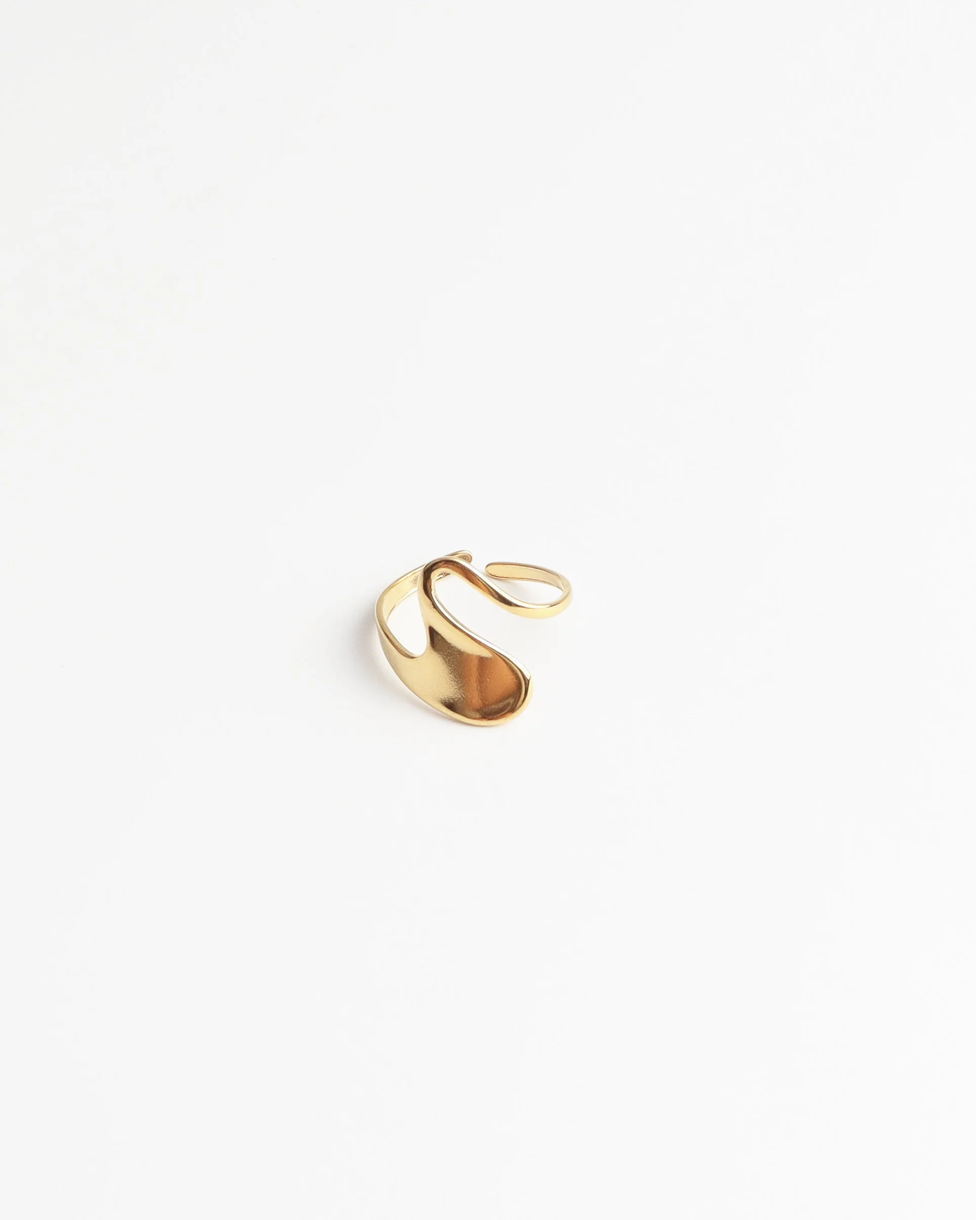 Suze - Ring - Stainless Steel - Verstelbaar